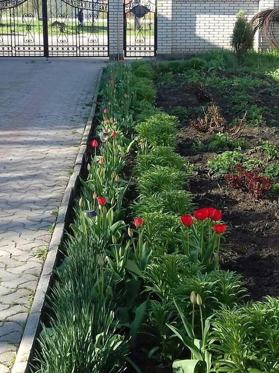 Mini Hotel Jtm Cernăuți Exterior foto